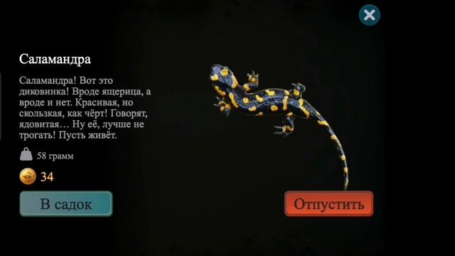 Эдит/ edit логика игры 