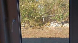 Жизнь женщины в деревне,как выжить на пенсию в деревне