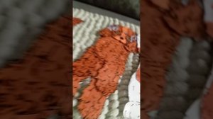 не хотите не надо 😒