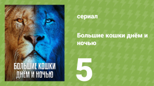 Большие кошки днём и ночью 5 серия (документальный сериал, 2024)