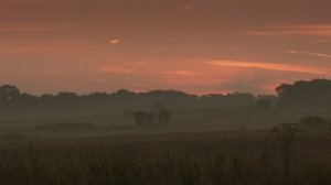 "Ферма Кларксона", 2.02 (AlexFilm)