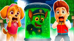 РАЙДЕР ЗАРАЗИЛ ГОНЩИКА ЩЕНЯЧИЙ ПАТРУЛЬ ЗОМБИ ВИРУСОМ АПОКАЛИПСИС В МАЙНКРАФТ МУЛЬТИК