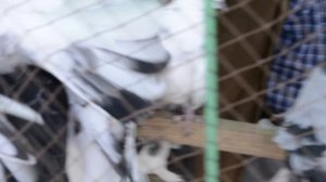 г.Донецк.04.10.25 г.