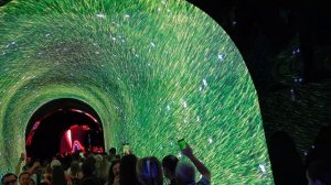 кроличья нора в парке Галицкого Краснодар