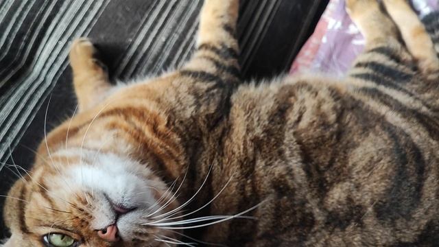 Мама и доча 💗💗 смотреть онлайн