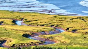 Северная Америка