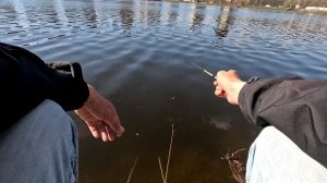 Микрофишинг. Отрыв по уклейке на пруду в городе.