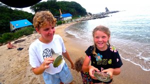 По приморью.