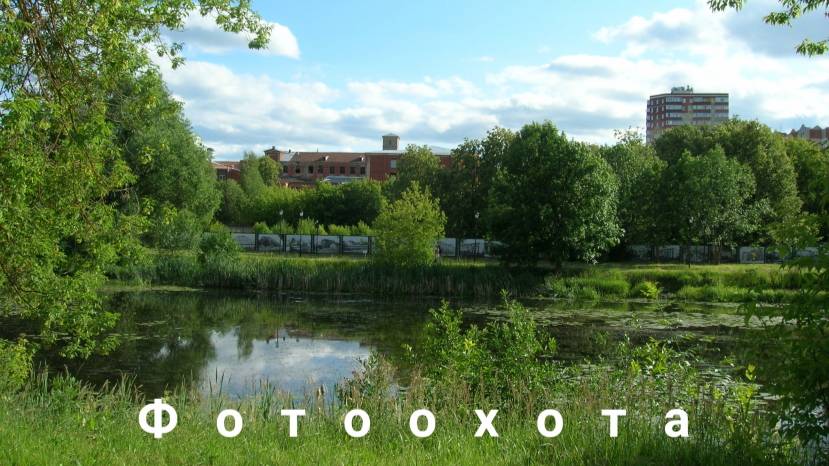 Фотоохота в городском парке