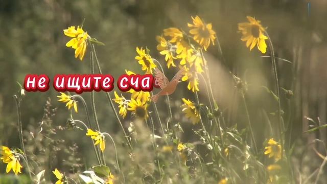 Счастье – это моменты... смотреть онлайн