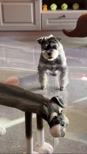 Ты кто такой??? 🕵️🐕