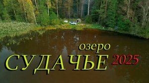 Озеро Судачье 2025 год.