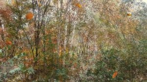 В подворотне осень с ветром танцевала.