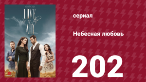 Небесная любовь 202 серия (сериал, 2010)