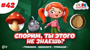 Страшно интересные грибы | Спорим, ты этого не знаешь? #детскоерадио #грибы #мультик #детям