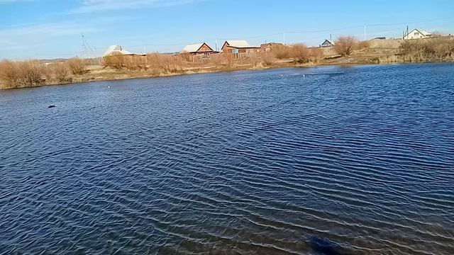5 октября смотреть онлайн