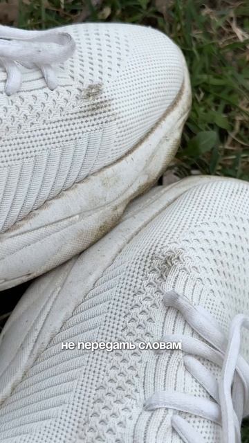 Артикул на очиститель - WW154124 🤍