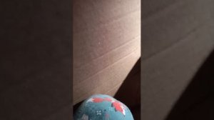 сидим пердим в коробке