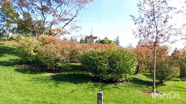Прогулка в японском саду. Краснодар. смотреть онлайн