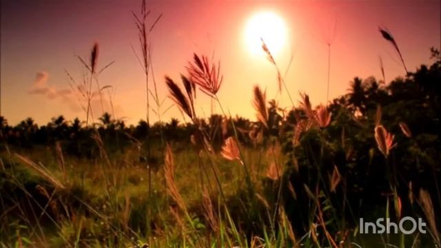 СУМЕРКИ смотреть онлайн