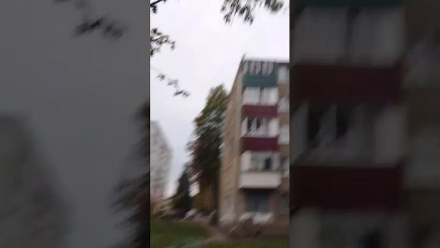 пр смотреть онлайн