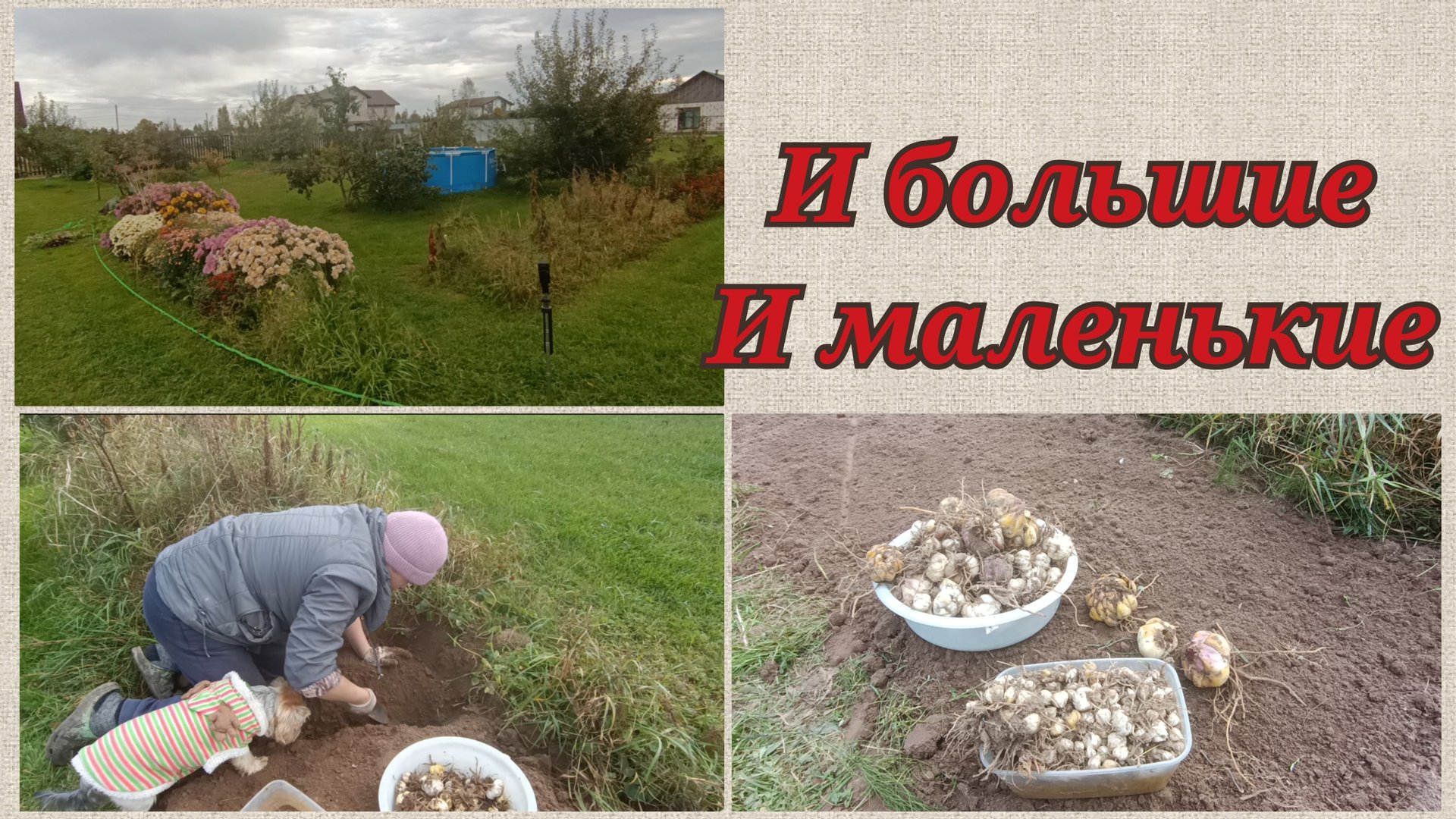 Я сегодня археолог 🙂 смотреть онлайн