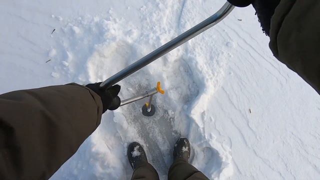 КОТОВСКИЙ ЗАЛИВ. Окунь на льду. #зимняяловлярыбы#мормышка#ловляокунязимой смотреть онлайн