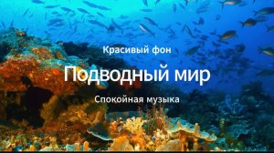 Подводный мир, приятная музыка.