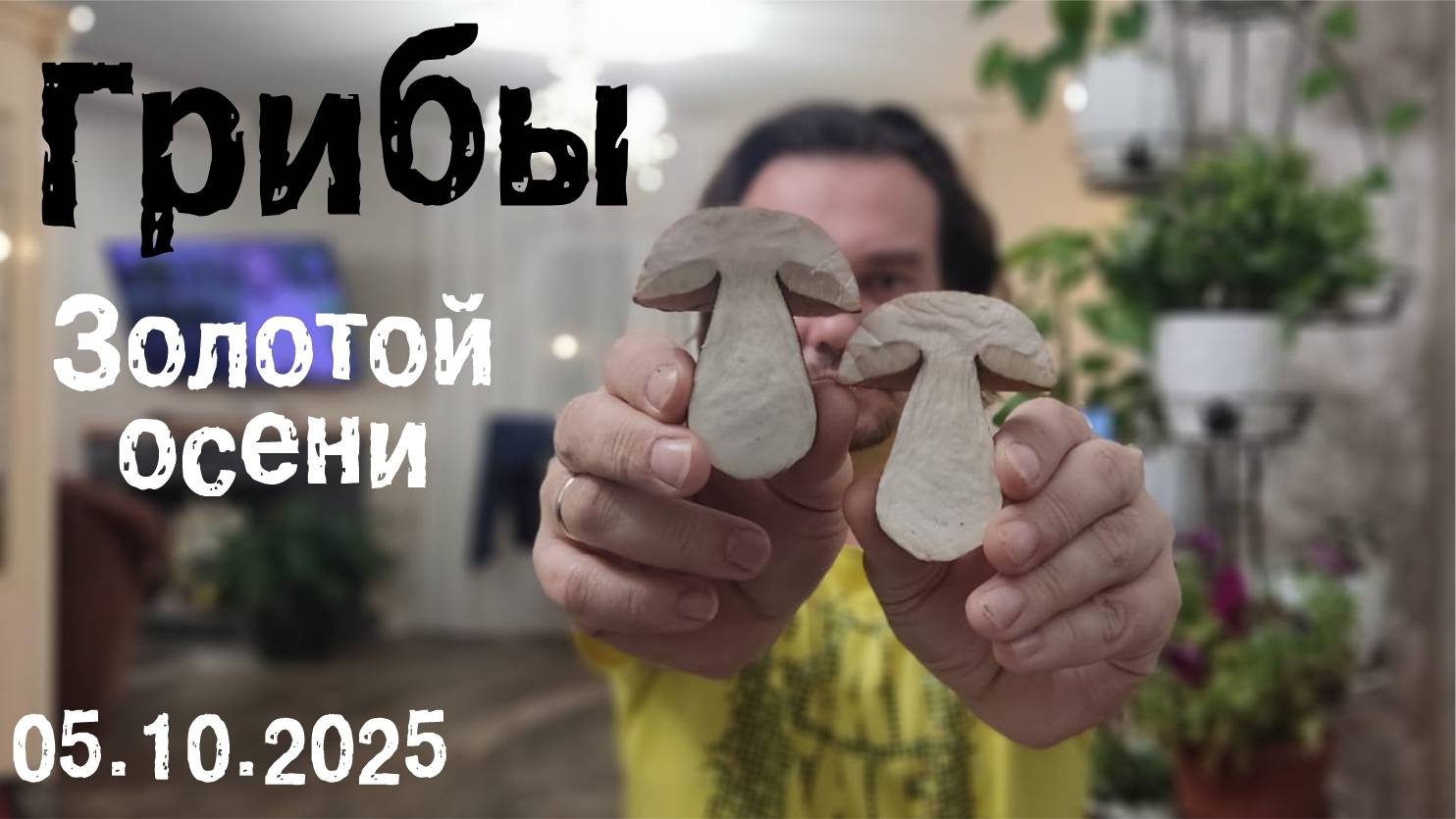 Грибы золотой осени  05.10.2025