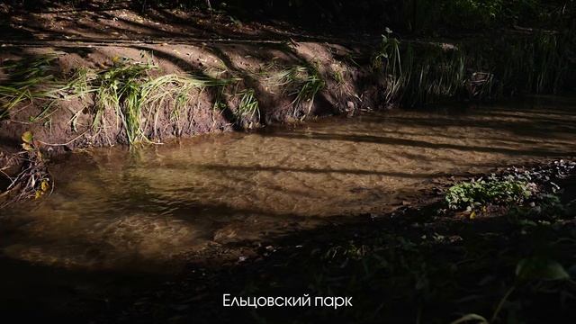 Р_на_К смотреть онлайн