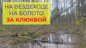 На Вездеходе Поехал за Клюквой на Болото