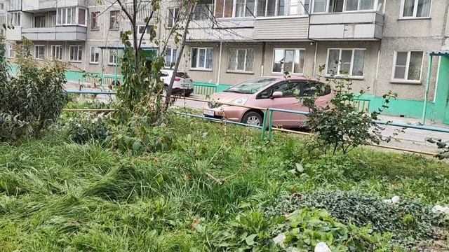 Домашние хлопоты смотреть онлайн