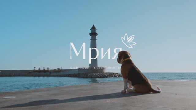С любовью к хвостикам и лапкам / Mriya Pets Friendly