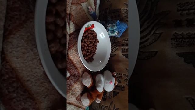 Соник exe и Хомяк без автоповорота
