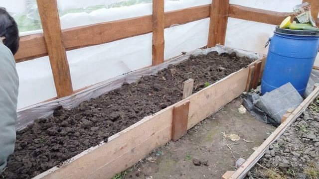 Обзор участка в октябре, работа в теплице. Убираю помидоры и огурцы. смотреть онлайн