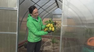 6 соток 4 октября 2025 года. Хроника.