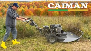 Что умеет косилка за полмиллиона? Косилка для любой травы CAIMAN Tuno 240C
