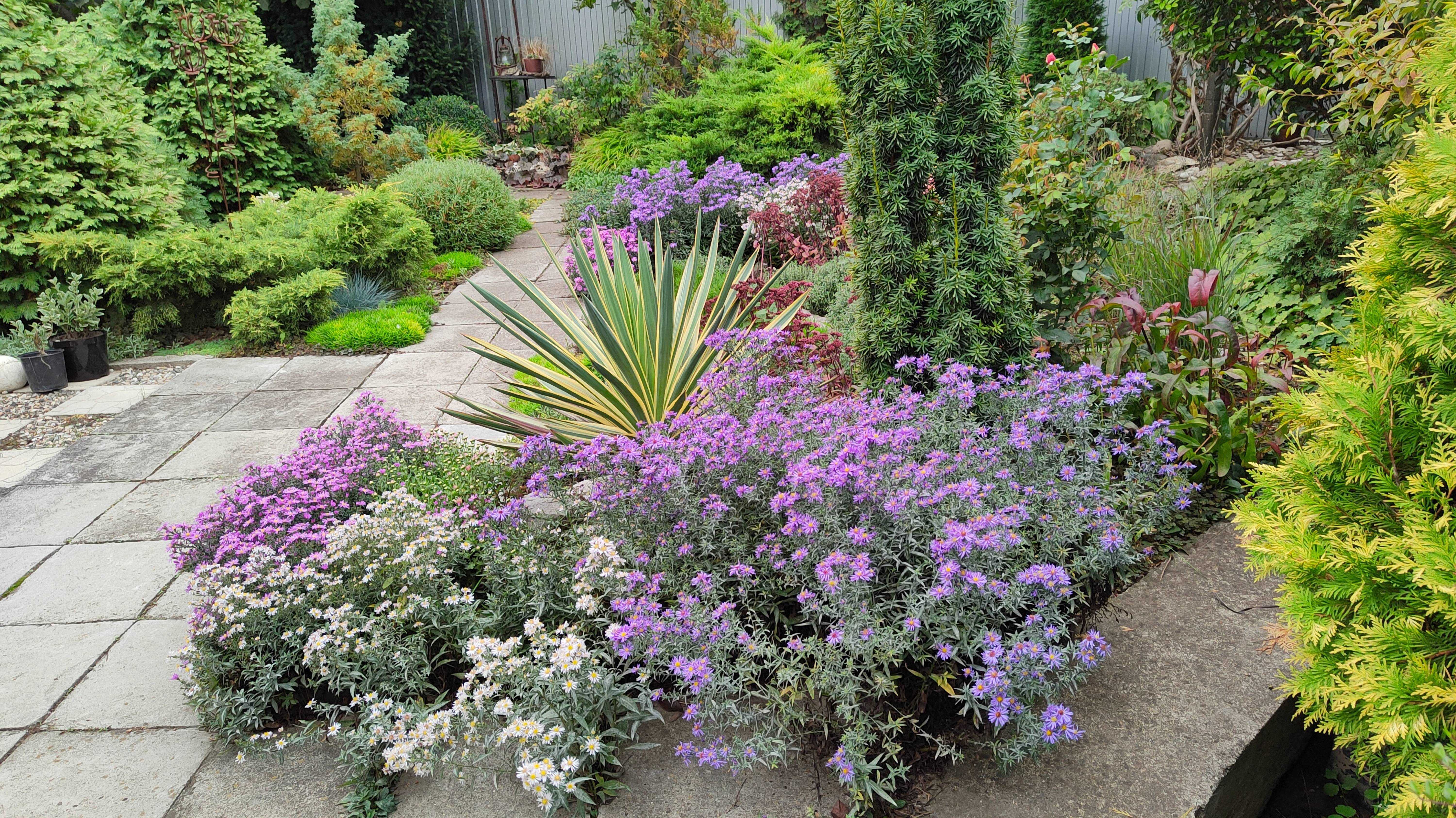 Что цветет и чем занимаюсь в саду 03.10.2025 г. Пятигорск смотреть онлайн