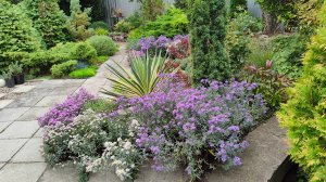 Что цветет и чем занимаюсь в саду 03.10.2025 г. Пятигорск