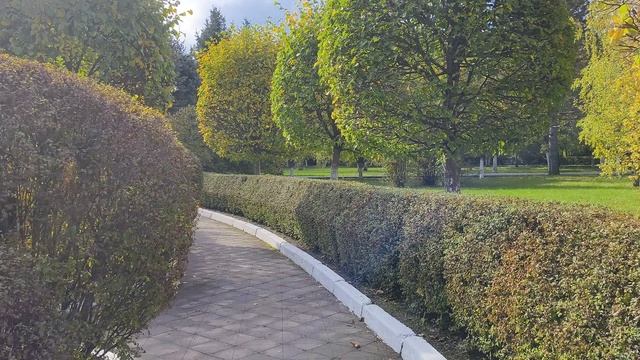 Vivo X200 FE: съёмка в 4К@60к/с на основную камеру с OIS смотреть онлайн