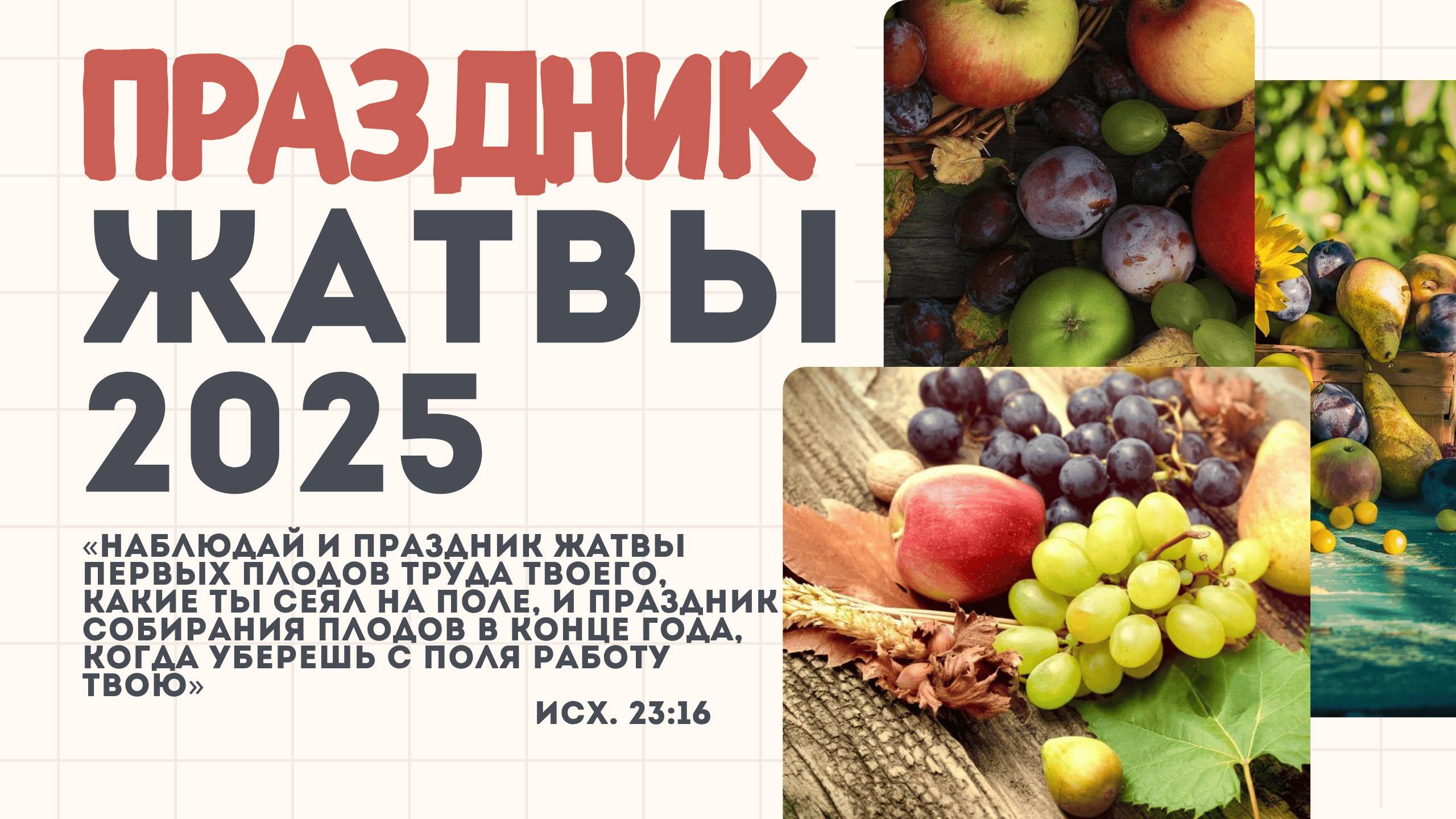 Жатва 2025 | 28' 09' 2025' смотреть онлайн