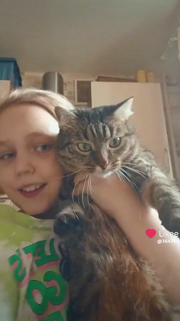 Like_7558060067484117593