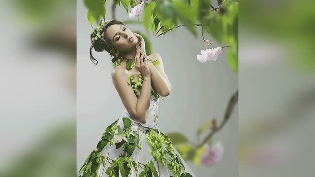 Береза смотреть онлайн