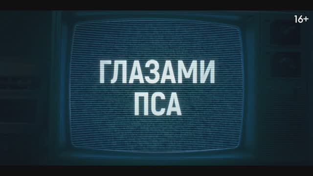 Трейлер фильма «Глазами пса» (2025) смотреть онлайн