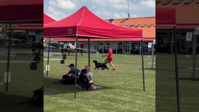 Chilli Iz Tverskogo Doma