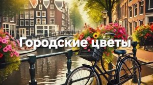 Городские цветы