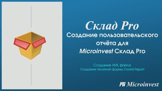 Создание пользовательского отчета в Microinvest Склад Pro