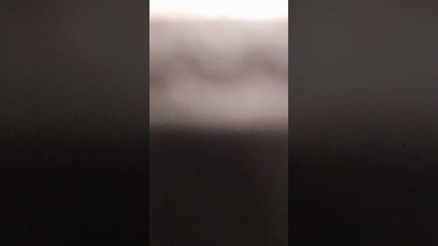 пр смотреть онлайн