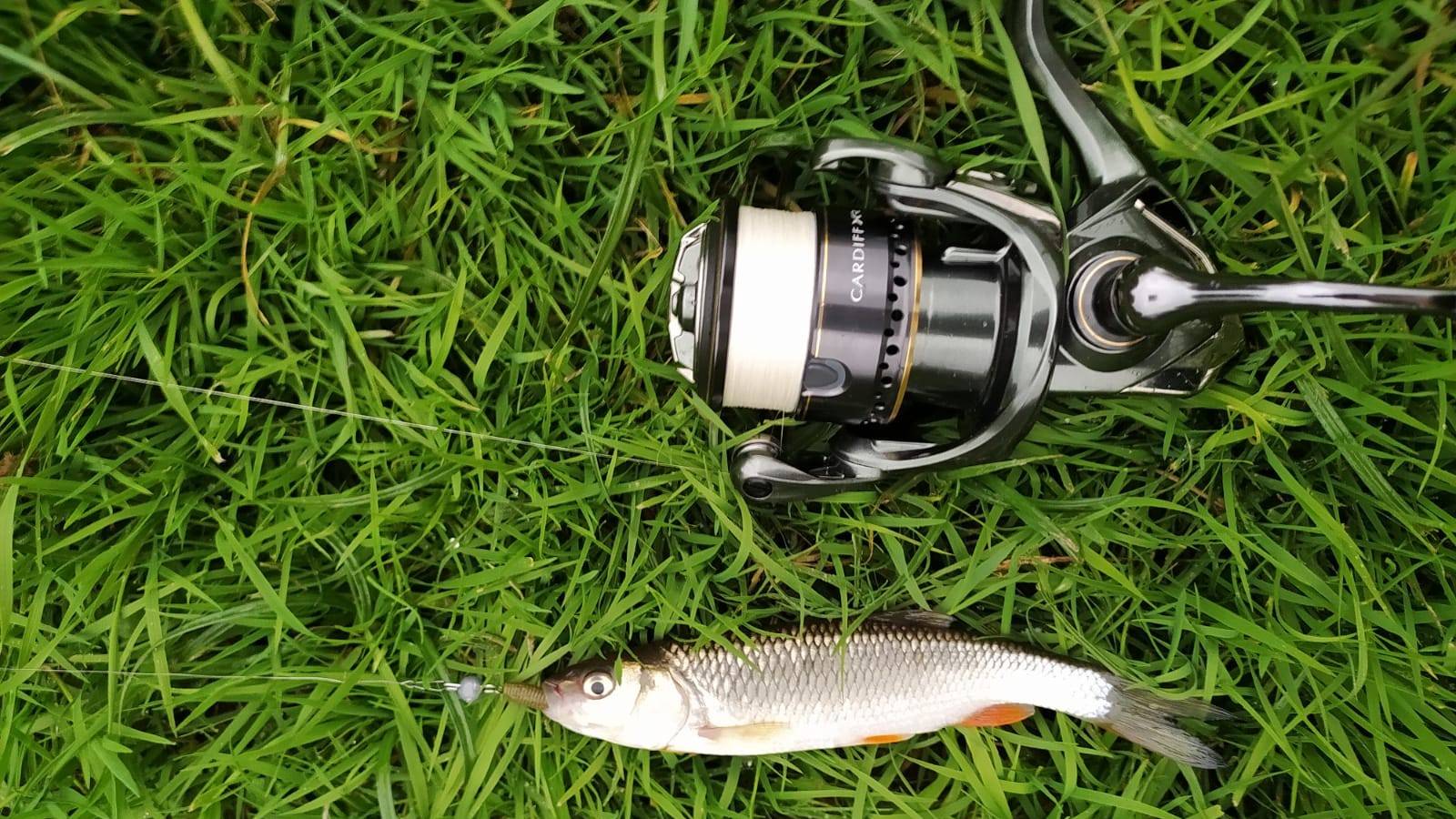 Десна. Микро и нано-джиг 19 сентября 2025 года