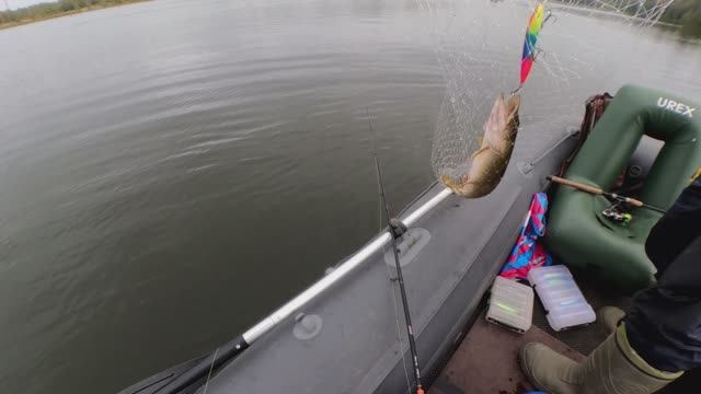 Осень 2025! (6)